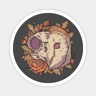 Autumn Barn Owl Skull Magnet